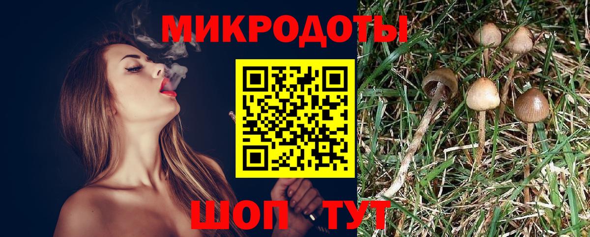 Галлюциногенные грибы прущие грибы  наркота  Еманжелинск  Вход с VPN 